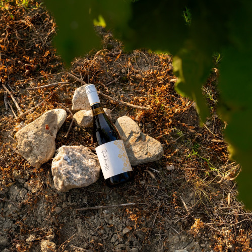 Ocenenia vín sú naša referencia